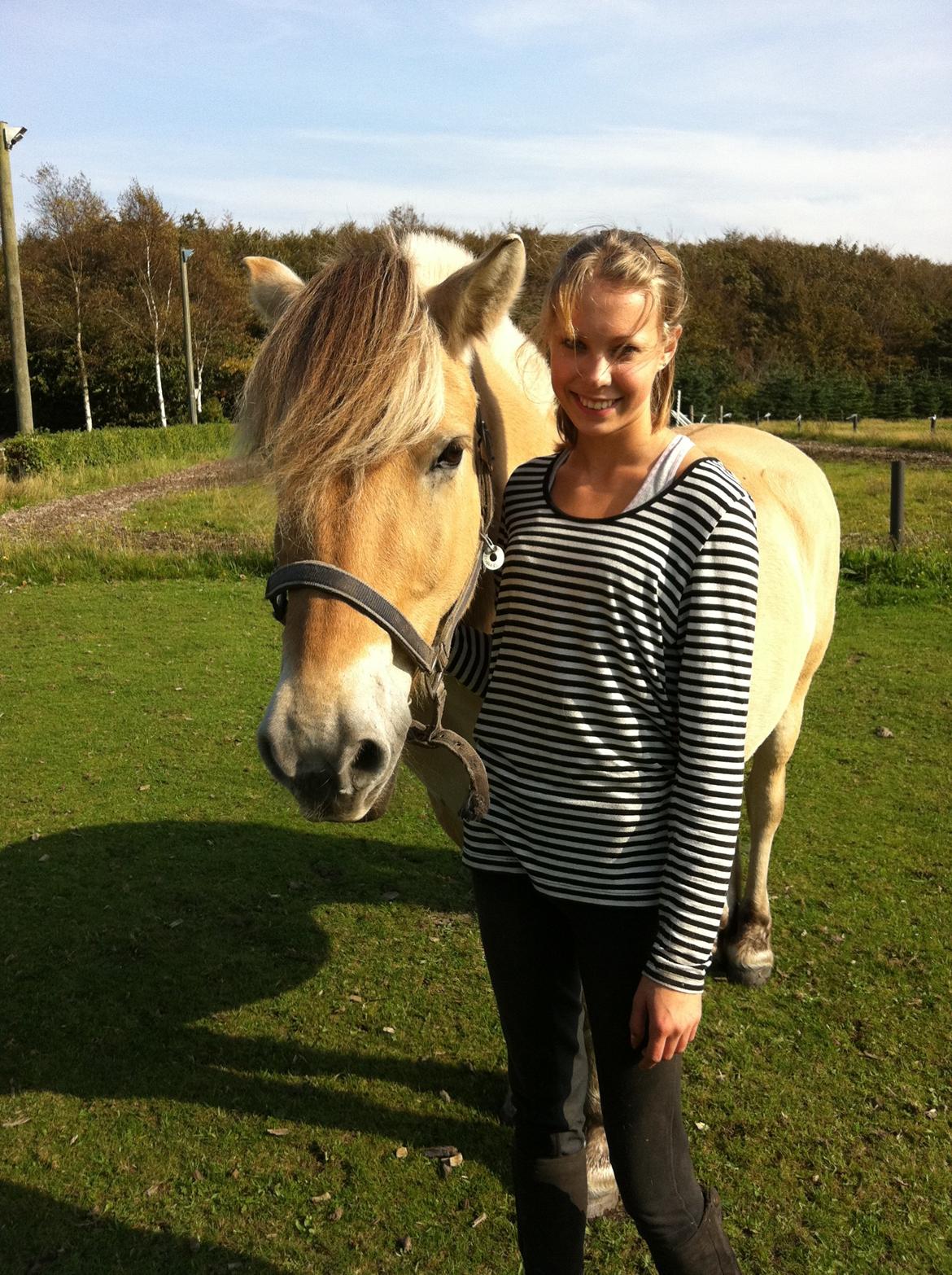 Fjordhest Mister - Farvel fra os :) 
Smid gerne en bedømmelse  billede 17