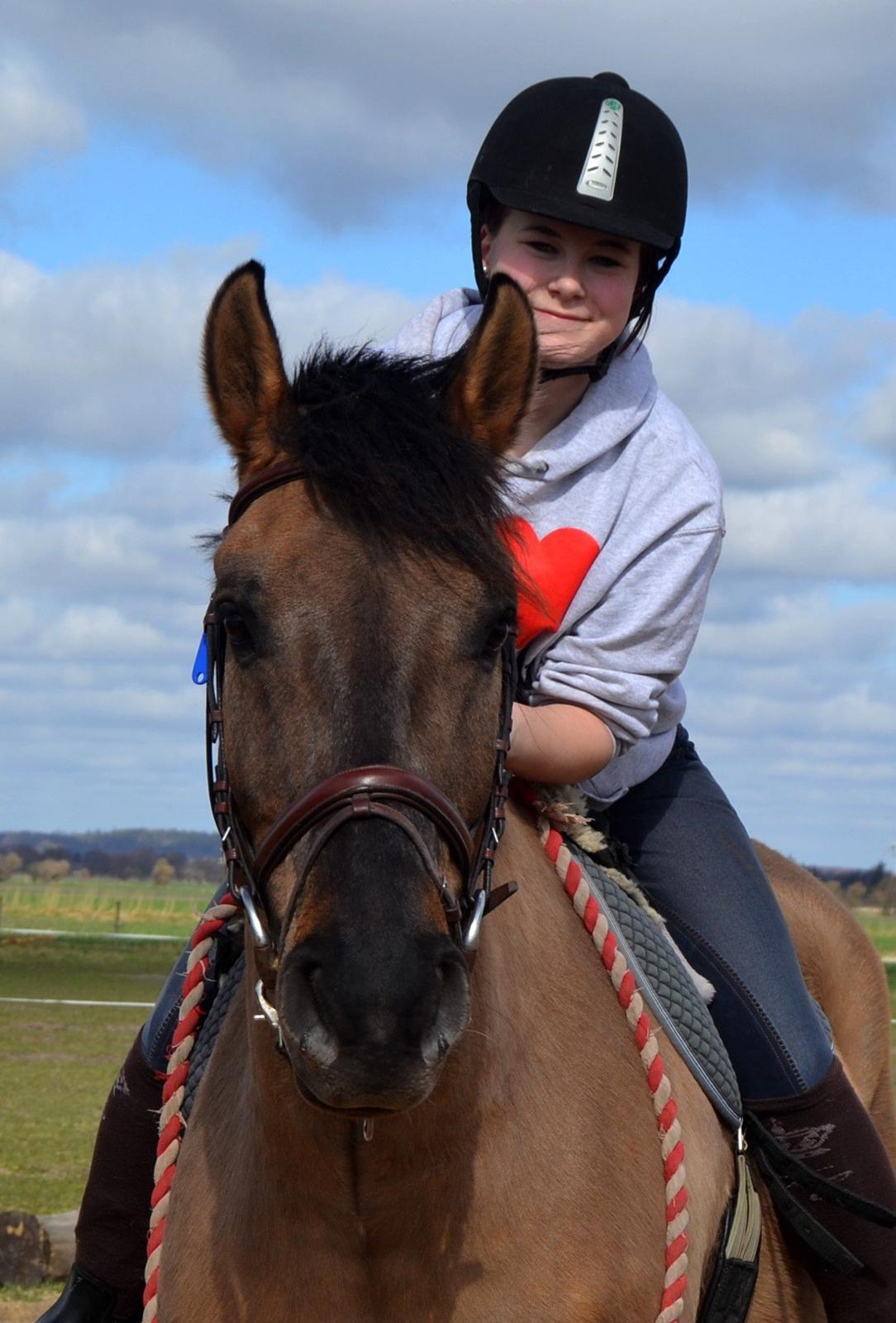 Anden særlig race RONALDO - Anden dag jeg har Nolle, og allerede rundt på banen i cordeo <3  billede 7