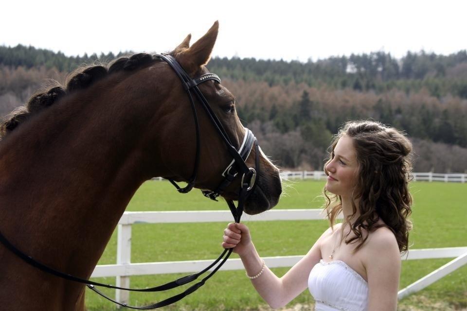 Hollandsk Sportspony Orchid's Marinja B-pony - Konfirmation den 26/4-13 <3 billede 7