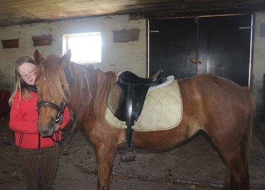 Anden særlig race Rosa(-: billede 5