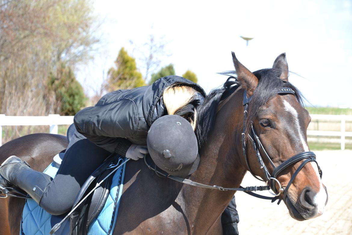 Oldenborg Brunør II - Søde skat! <3 billede 2