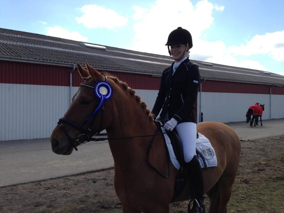 DSP Larsmindes Filanté - Efter første LA2 med 63%  billede 18