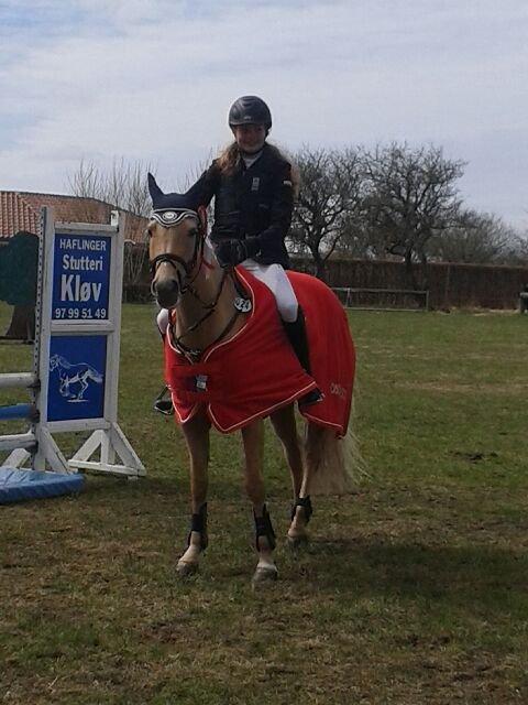 Anden særlig race Gloria (SOLGT) - Min stjerne blev nummer 1 i LA!! <3 Vandt begge LA´er den dag  <3 <3 billede 5