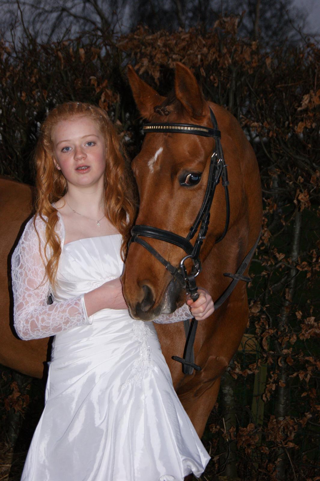 DSP Tofts Gambler billede 6