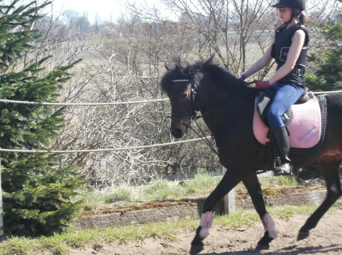 DSP Ronja - Træning på musen. ;)<3 billede 9