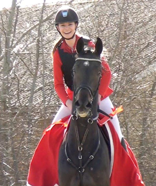 Hollandsk Varmblod Cavour - Han er alt!! <3 <3 billede 2