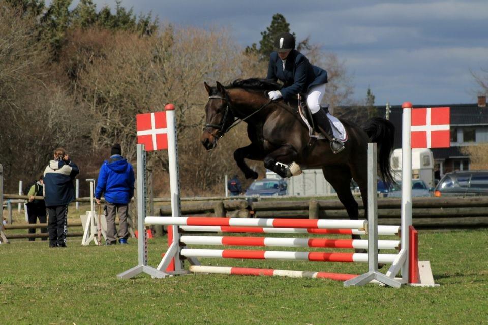 Anden særlig race Himmelhest Nightwish *DRØMMEHESTEN* - 70 cm sløjfespring, Baunfoto billede 2