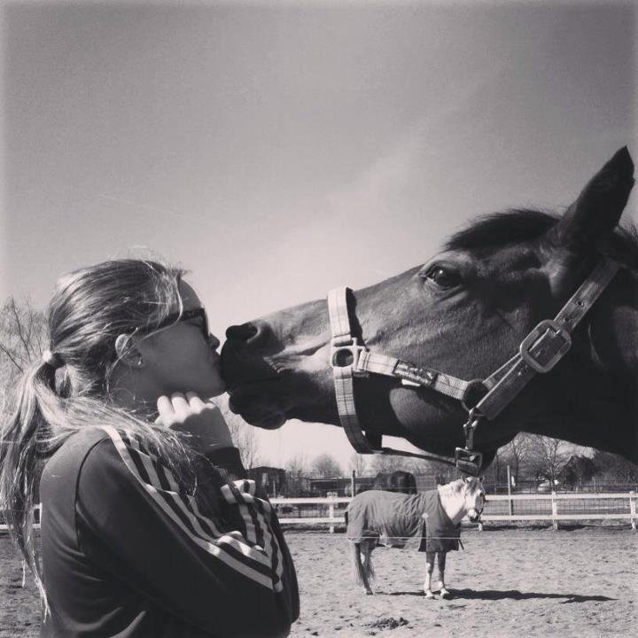 Anden særlig race Filur (Futte) billede 8