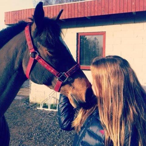 Anden særlig race Filur (Futte) billede 13