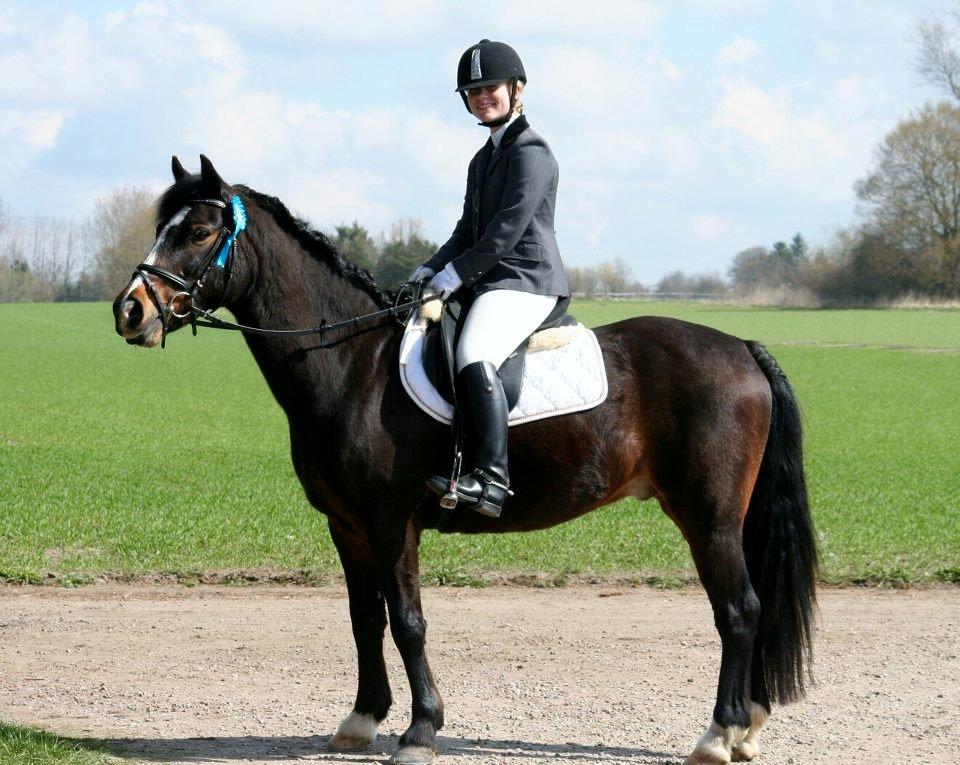 Anden særlig race Pluto - 28/4-13 Andet dressurstævne sammen. Han var så dygtig! :)<3 60,85% LC1 billede 14