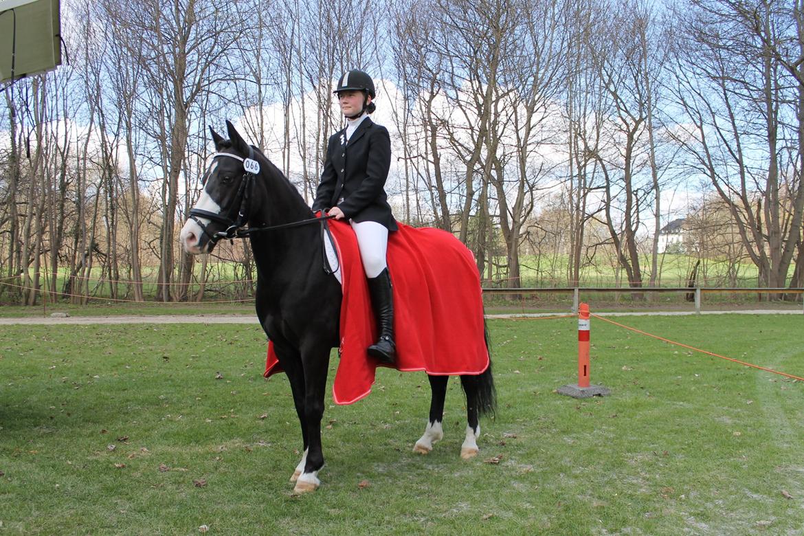 DSP Principal Touch - Til stævne i Bernstorffsparken april 2013 billede 2