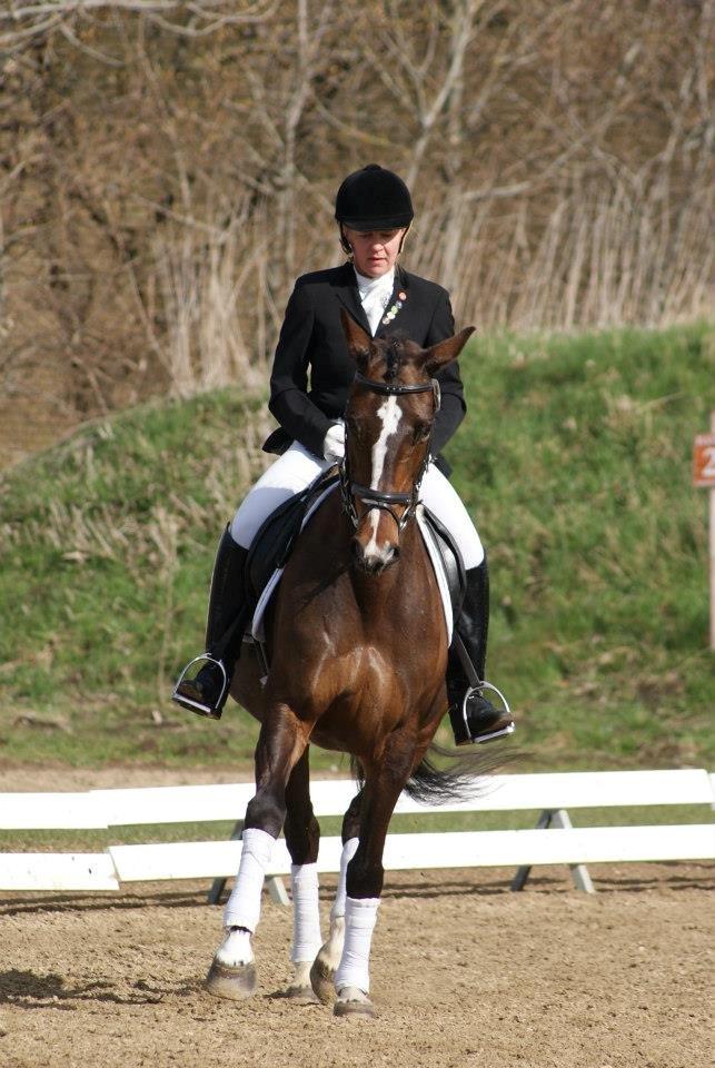 Tysk Oldenburger Martinell - Maj 2013 billede 10