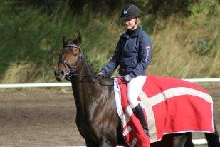 Fuldblod (XX) Ice Cube - Første stævne sammen :) billede 1