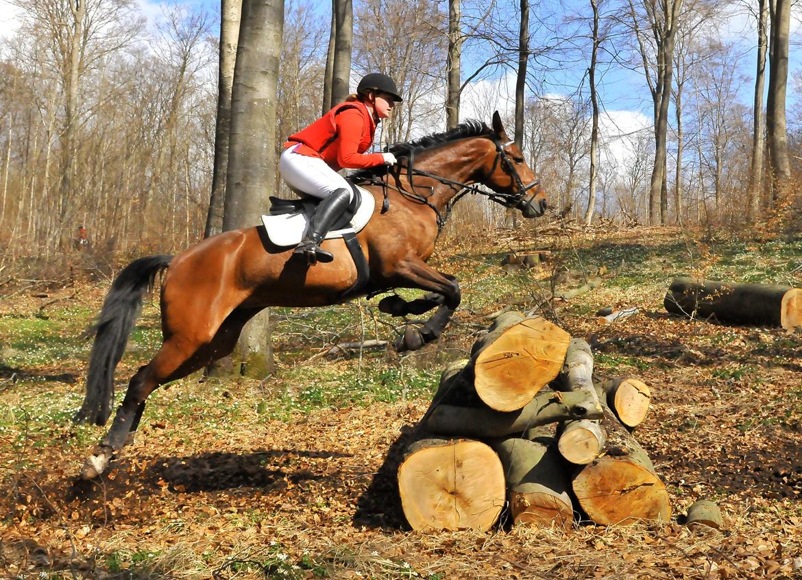 Anden særlig race Lady <3 [MIN SKØNHED] - Kævlespring på 105-110 (: Til jagten ved Buresø ! billede 2