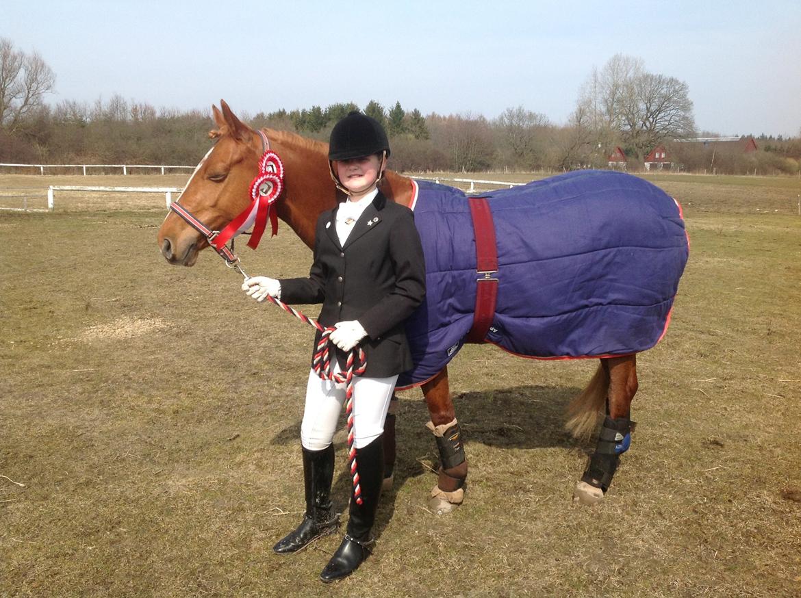 DSP Jalousi Af Stensnæs billede 7