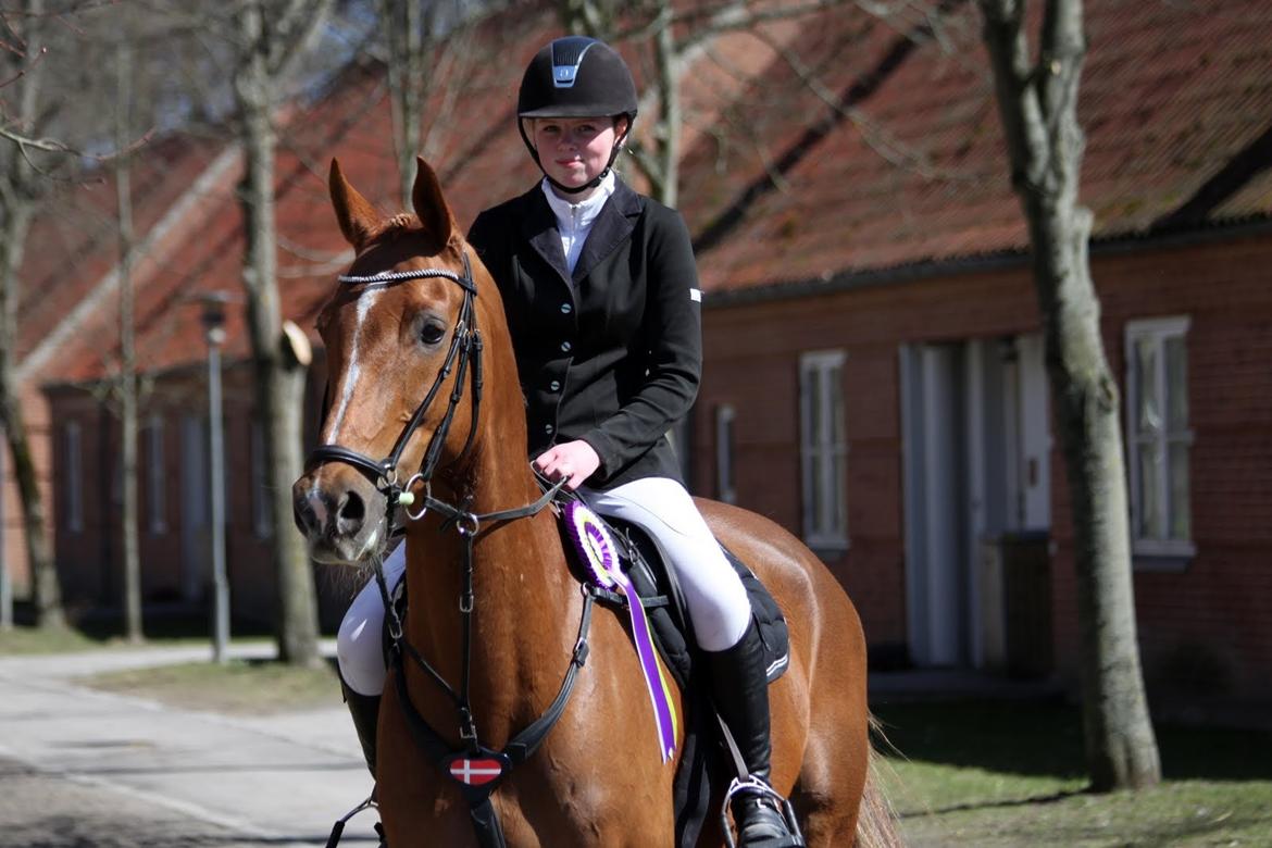 Anden særlig race Surprise [Kylling] - Solgt - Vilhelmsborg 2013, billede taget af Anne Krogh :o) billede 3