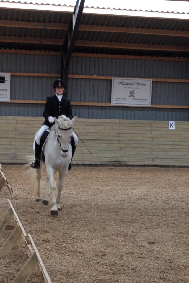 Anden særlig race Ronja  - Dette billede siger mere end tusind ord. C-stævne på heslegård. Der ligger flere billeder i albummet "stævner" billede 16