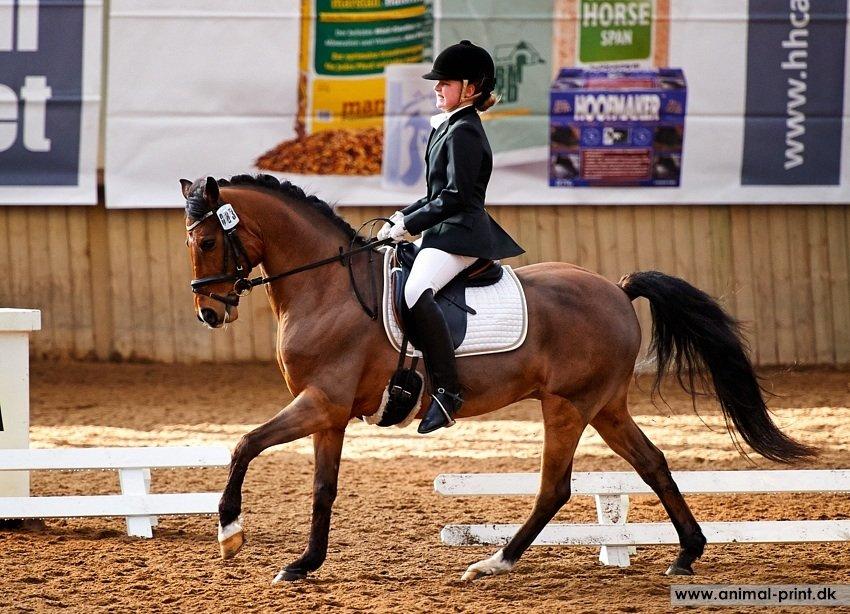 DSP Ambrosius A.M. billede 7