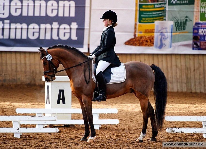 DSP Ambrosius A.M. billede 8