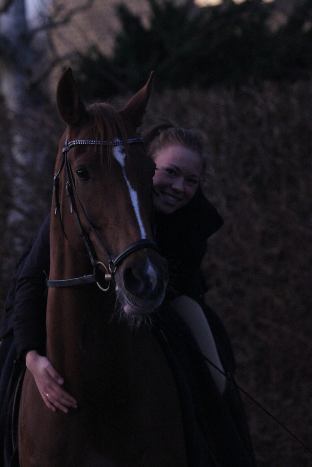 Anden særlig race Surprise [Kylling] - Solgt - Sidste aften inden han flyttede over til Lise. Fantastiske Kylling <3 billede 16