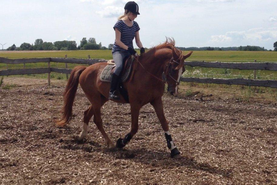 Anden særlig race Champ <3 billede 18