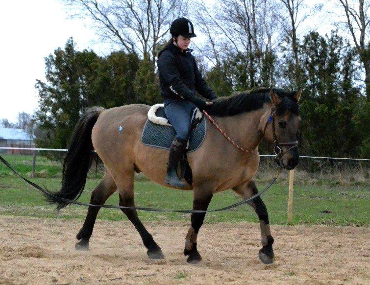 Anden særlig race RONALDO - D. 29 maj 2013 
Taget af Izabella Madsen  billede 18