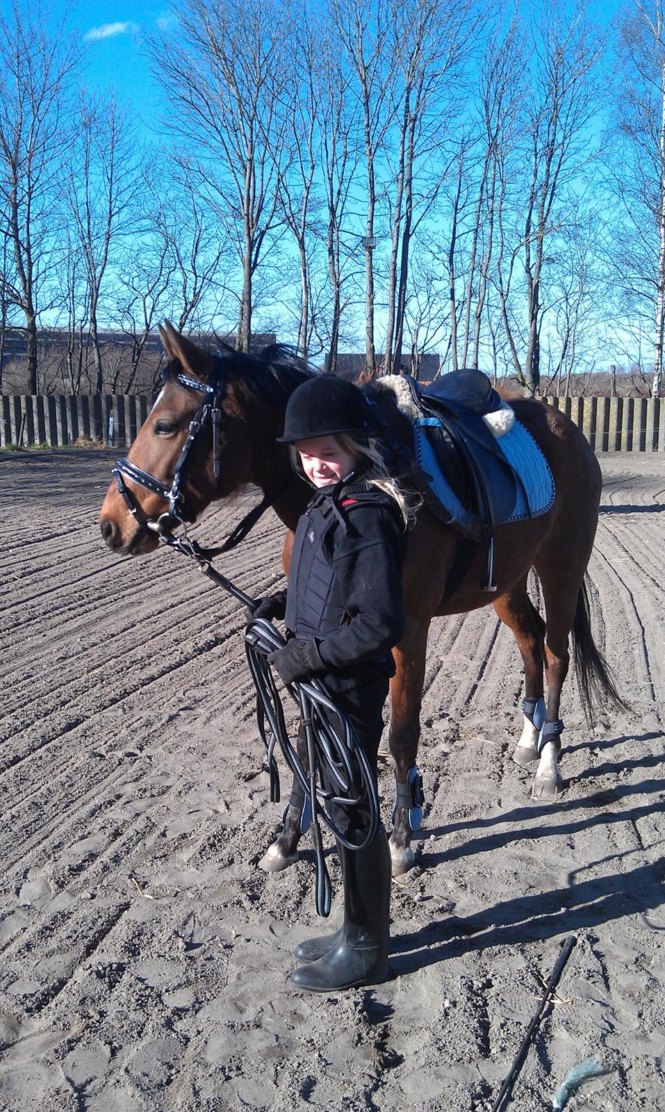 DSP Nuga - Det er dejligt efter en lang ridetur billede 1