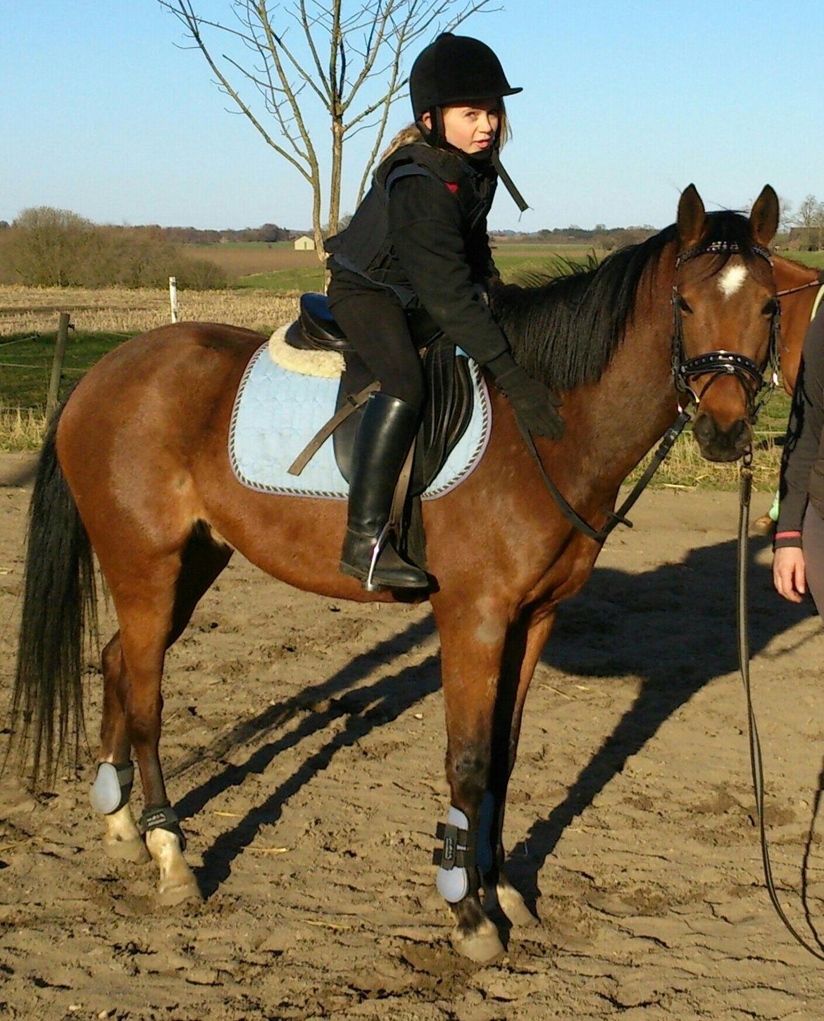 DSP Nuga - Jeg rider på min søde Nuga
 billede 3