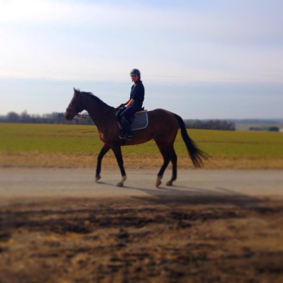 Fuldblod (XX) R.I.P SOLGT Bauffant<33 XX billede 12
