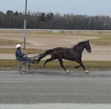 Traver Dream Quantarie<3 billede 4