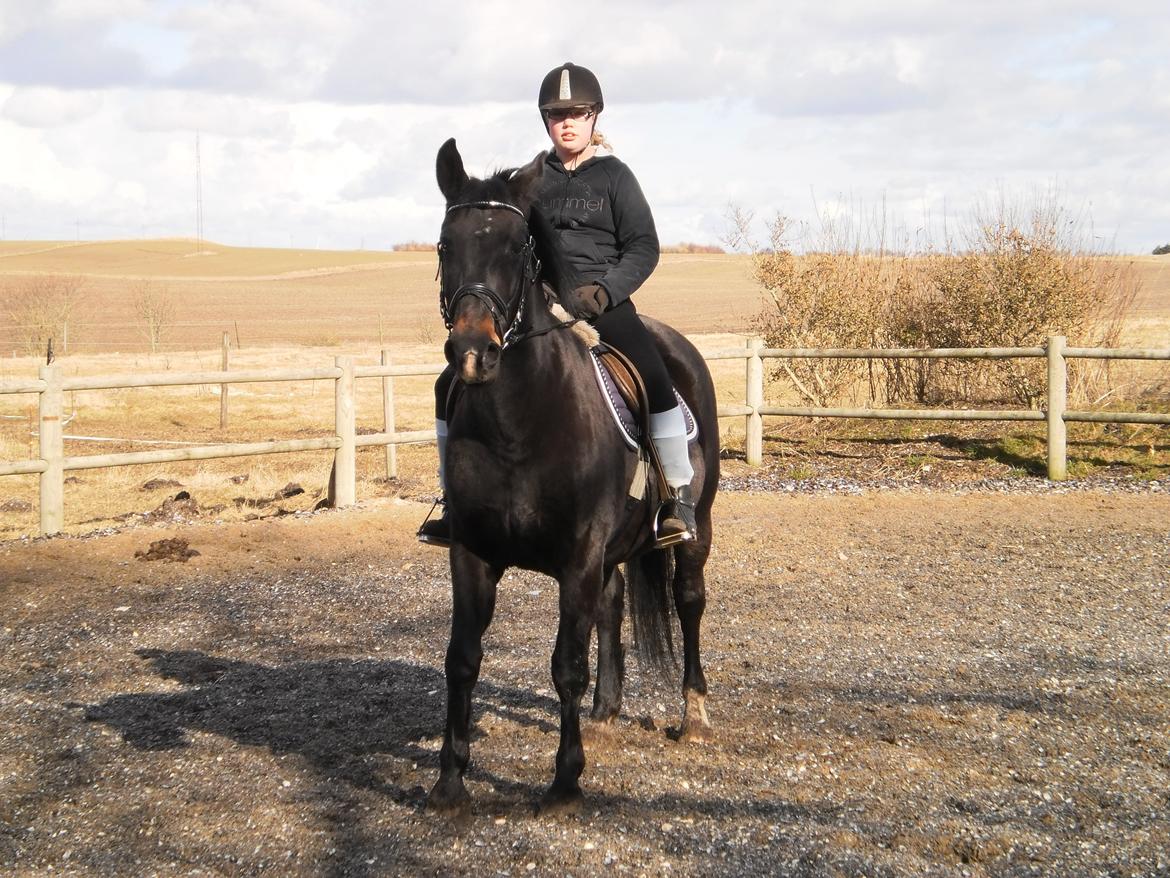 Oldenborg angchlich (R.I.P) - 4 gang jeg rider på skønheden billede 1