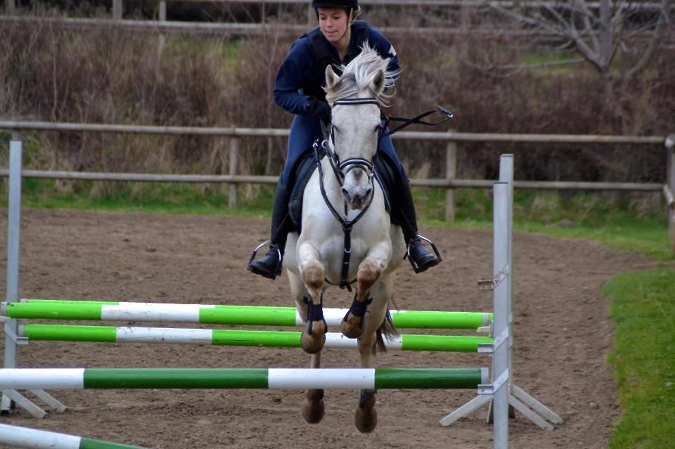 Anden særlig race Misty - The only horse i will ever trust <3 

Mandag den 29 april 2013  billede 14