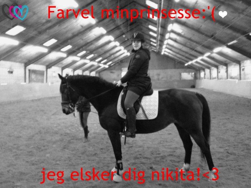 Anden særlig race prinsessé Nikita min baby <3 - et billede siger mere end 1000 ord :'(<3 billede 2