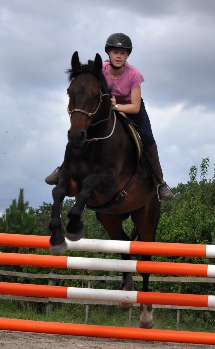Anden særlig race Rocky billede 1