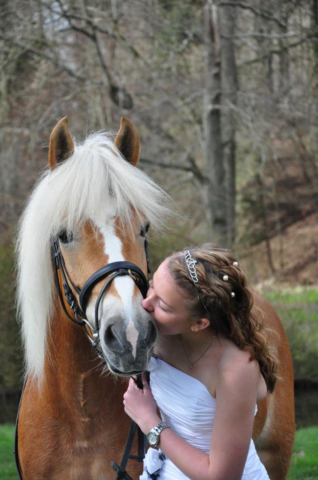 Haflinger Nanna af kroggaard - Velkommen til Nanna's profil<3 billede 2