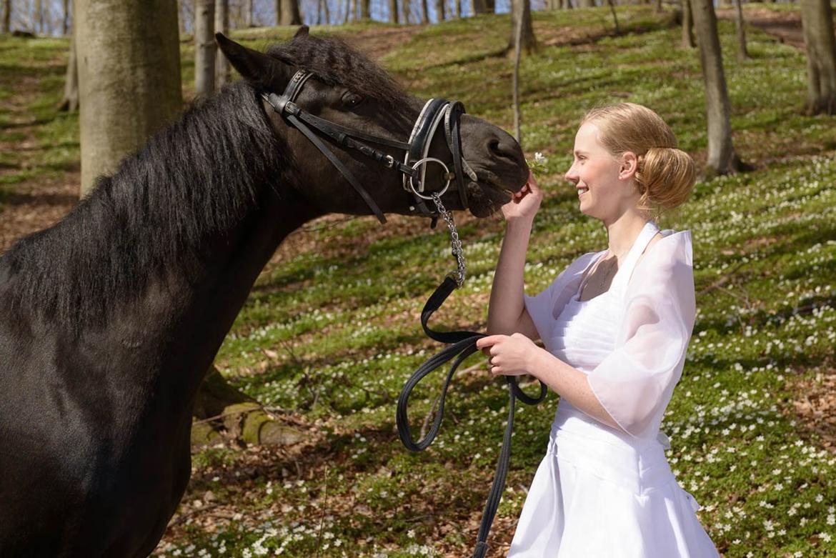 Anden særlig race Felix - Konfirmation 21. april 2013 billede 7