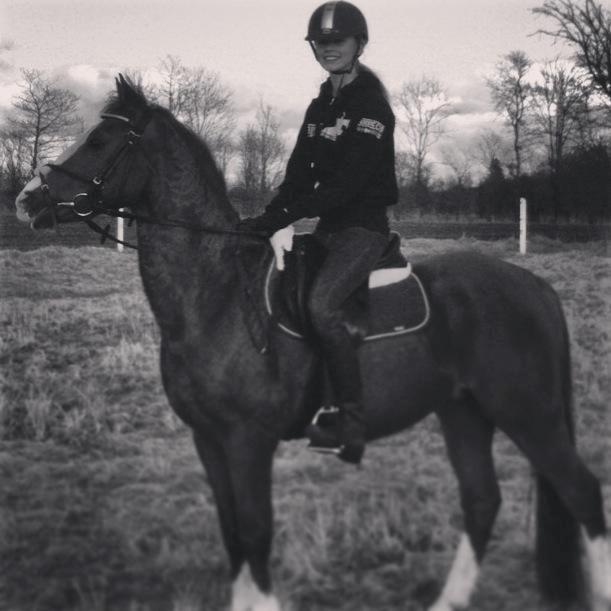 New Forest Snoepie billede 5