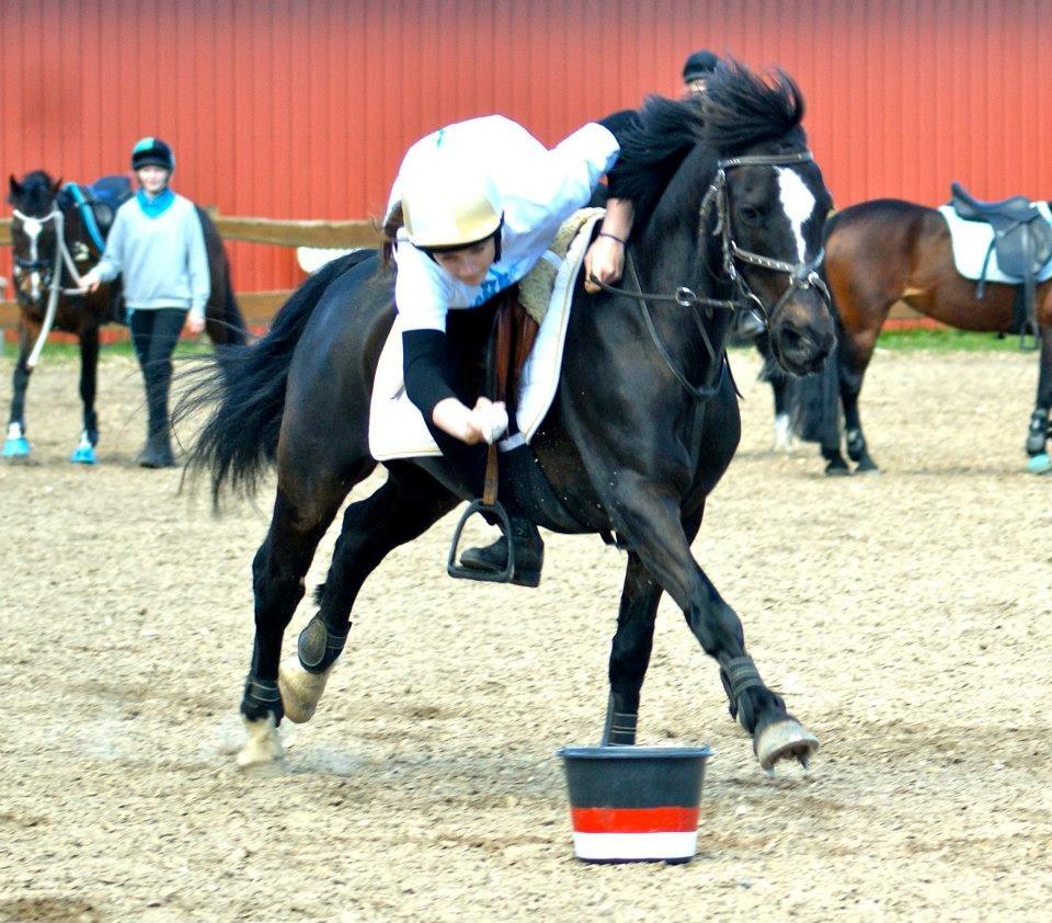 Hollandsk Sportspony Jimmy - u17 landsholds træning d. 27 april 2013 billede 6