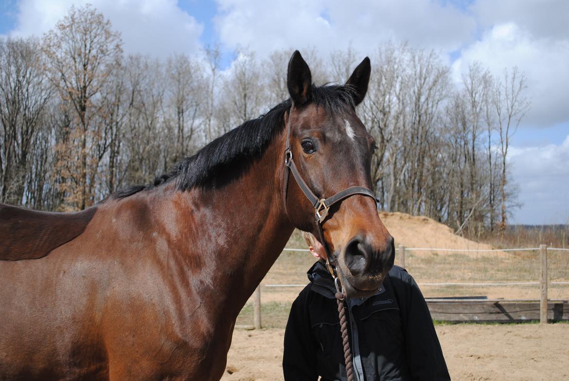 Anden særlig race Malou Kærlund (min mors) - Smukke Malou d. 30/04-2013
 billede 1