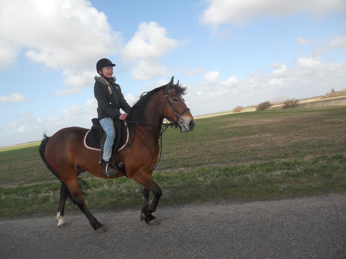 Anden særlig race Tarzan billede 12