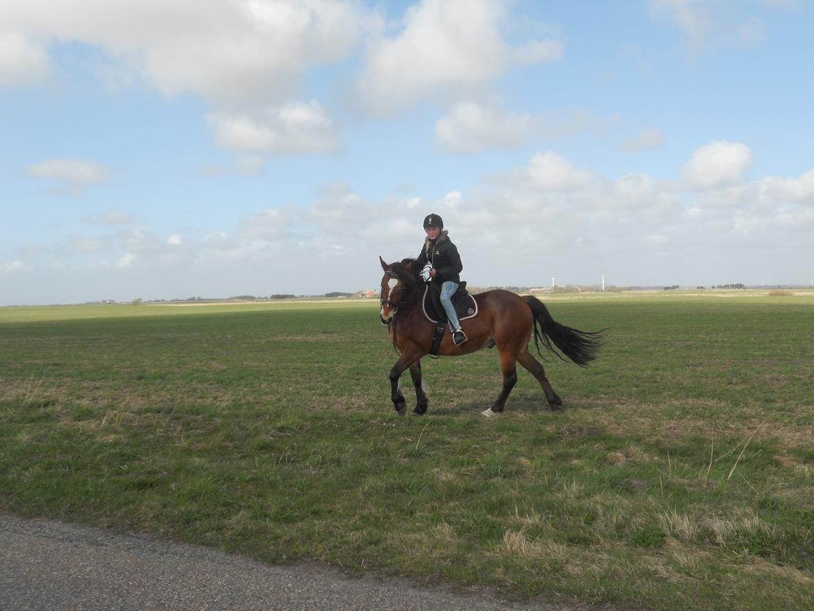 Anden særlig race Tarzan billede 19