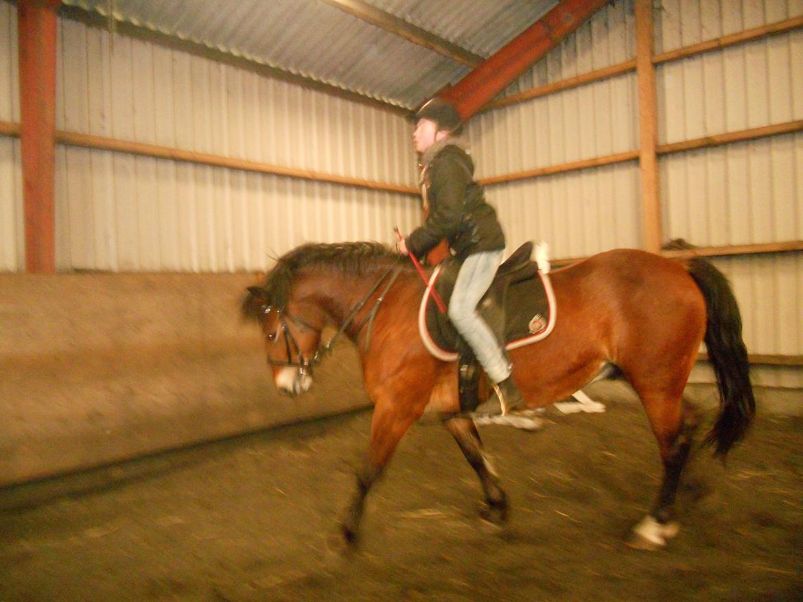 Anden særlig race Tarzan billede 14