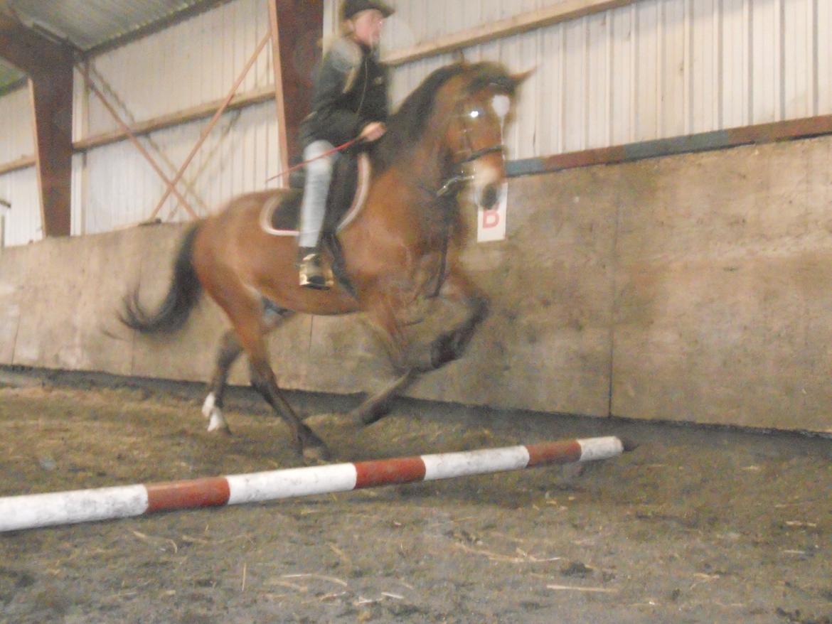 Anden særlig race Tarzan billede 8