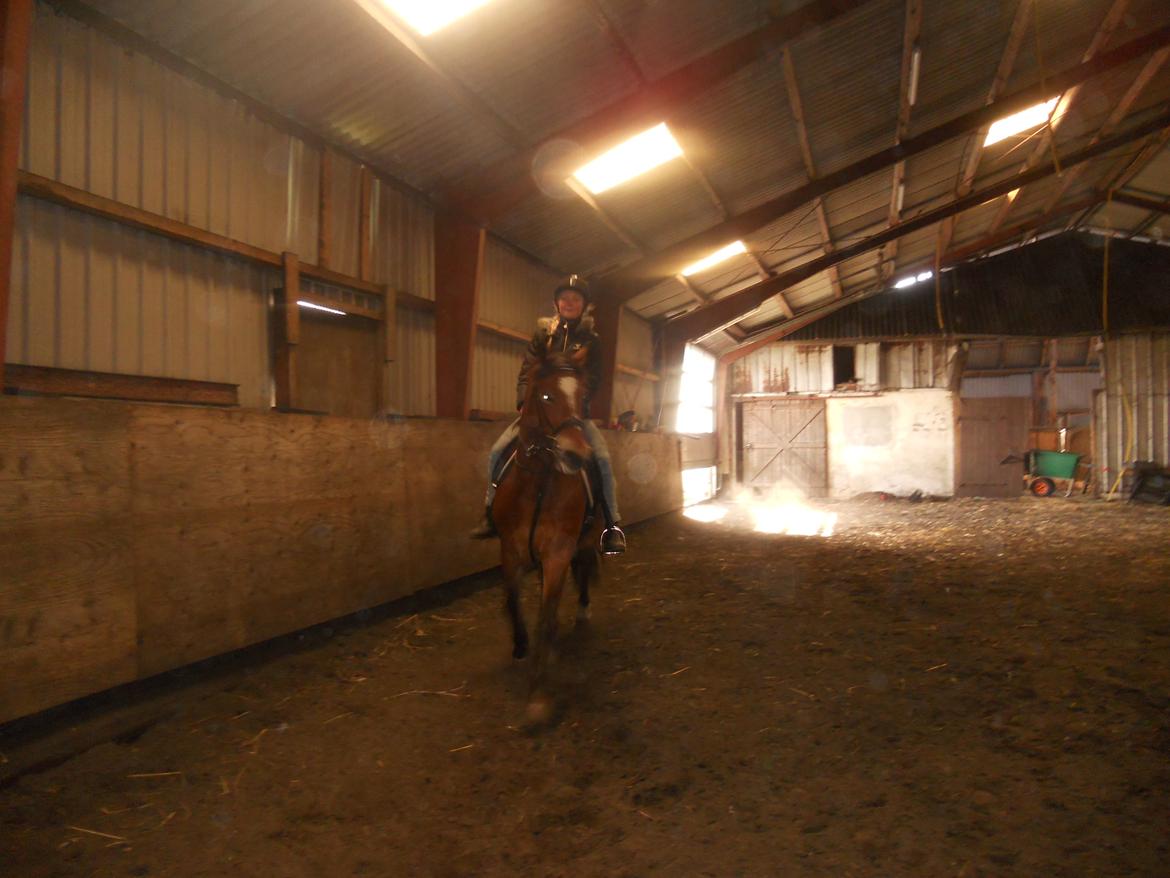 Anden særlig race Tarzan billede 4