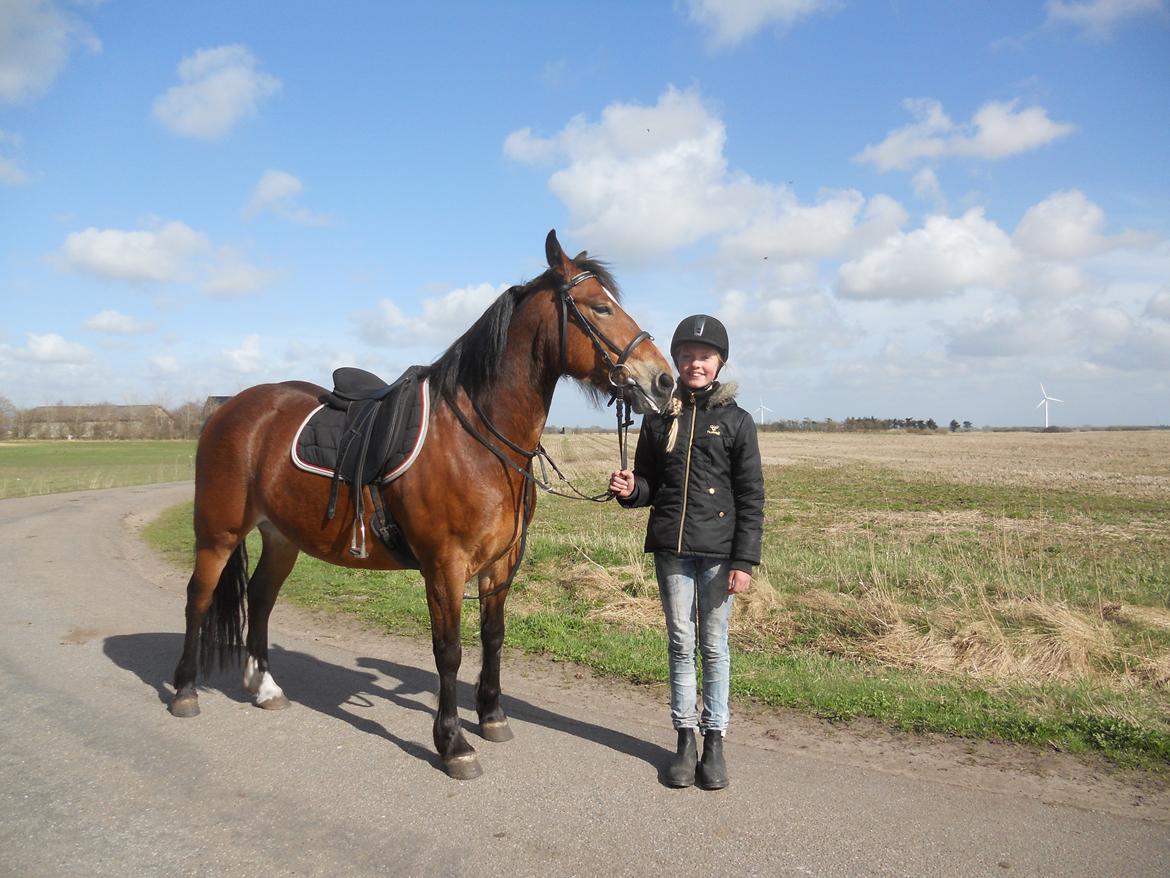 Anden særlig race Tarzan billede 20