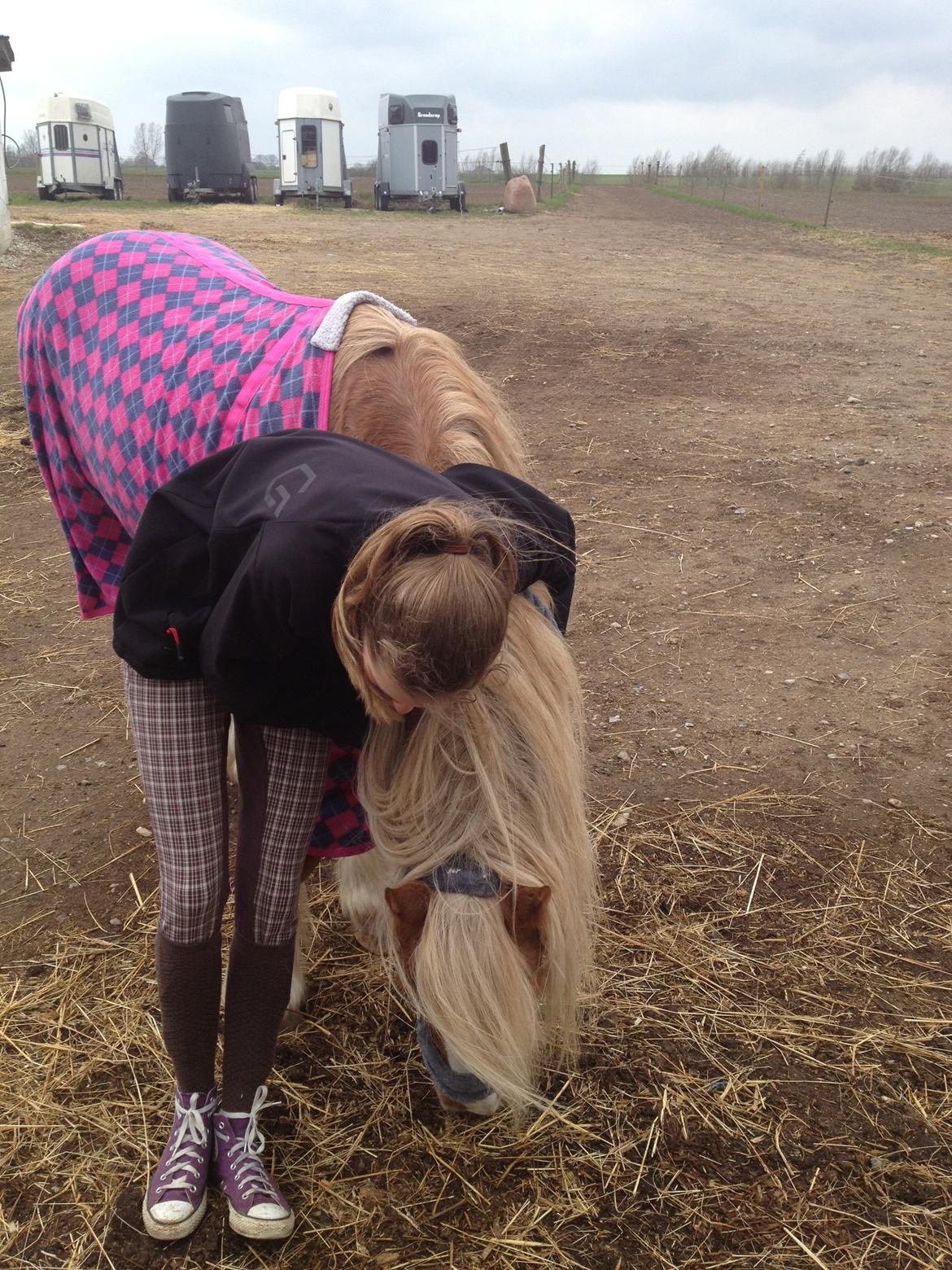 Anden særlig race Mac Gregor/Mags<333 - Han for sig noget hø ^^ billede 3