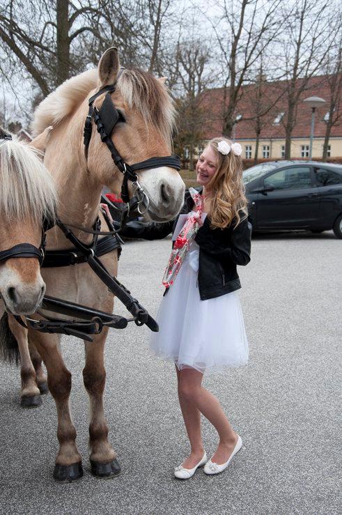 Fjordhest Hagbard Skellerød (Nu en Engel) R.I.P - Konfirmation. Blev hentet i karret af ponyen, og Claes billede 2