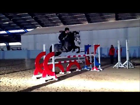 Dansk Varmblod Calikka Sortebjerg - Da jeg var ude og prøve hende første gang :)  billede 7