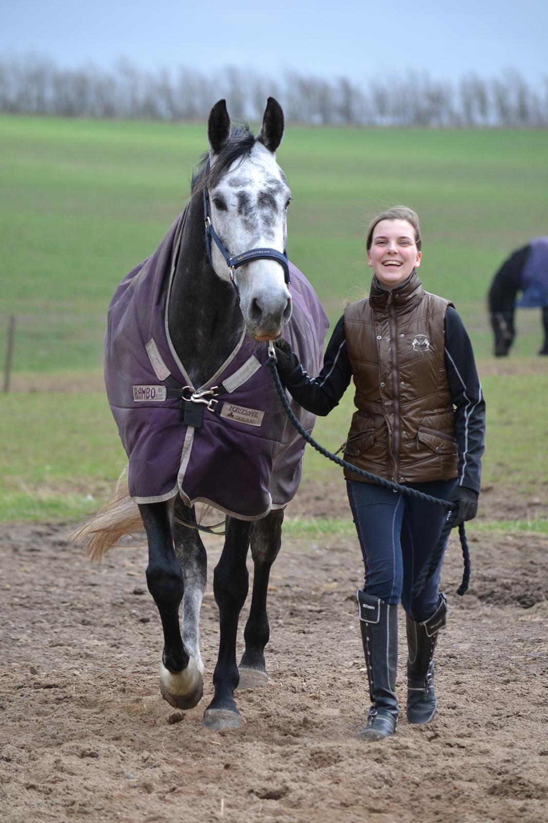 Dansk Varmblod Calikka Sortebjerg - Nu er det dig&mig <3 billede 16