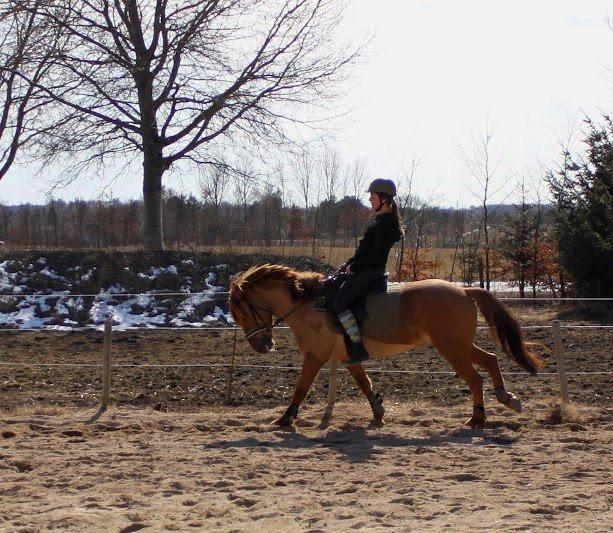 Anden særlig race Lucas/Alf billede 11